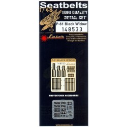 P-61 Black Widow - Seatbelts 1/48 - 148533